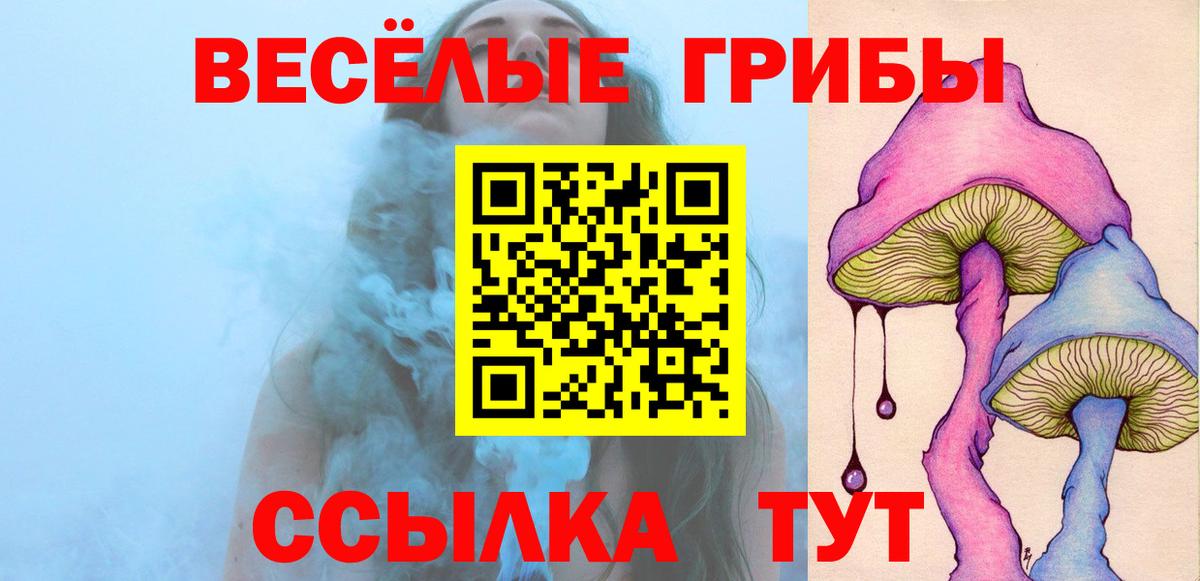 Галлюциногенные грибы GOLDEN TEACHER Новомосковск