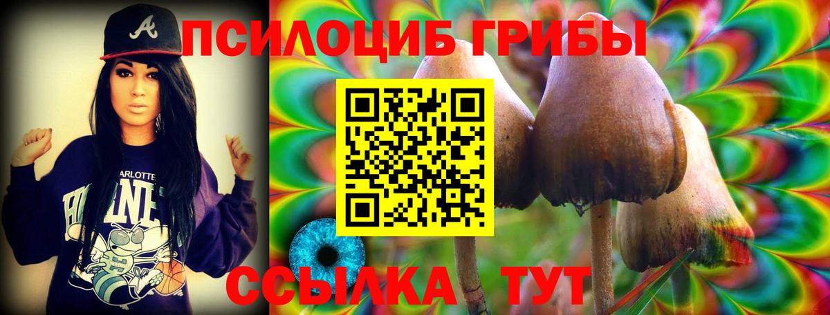 Псилоцибиновые грибы GOLDEN TEACHER  Вход с VPN  Галлюциногенные грибы MAGIC MUSHROOMS  Новомосковск 